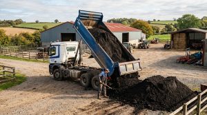 Чернозём с доставкой: обзор условий поставки и характеристик